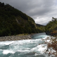 NATURALEZA VIVA