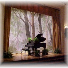 Rolando Bueno & Orquesta Tropicana