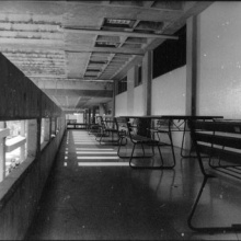 Fotografía