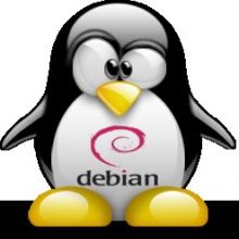 Pluf demo GNU/Linux