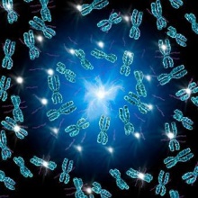 3. Chromosomes