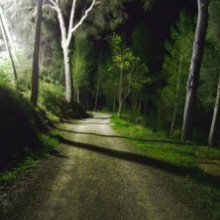 Paseo Musical