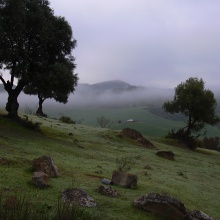Tierra Humeda