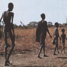 WALKING SKELETONS