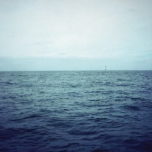 Moonfish ( 1999 )