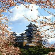 Japanese wedding