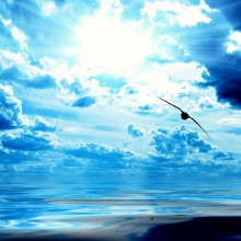 OCEAN