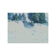 dj starize-folow