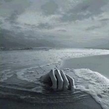 nauta