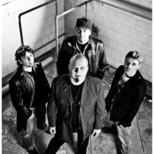 THE FLIES