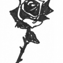 BLACK ROSE
