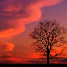 Rojo atardecer