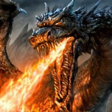 Dragon Fire