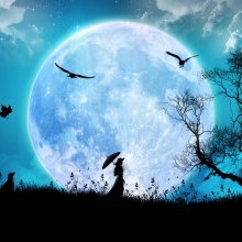 Noche Blanca