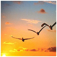 Aprender a Volar [Mix by Aess93]