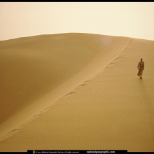 UN OASIS EN EL DESIERTO