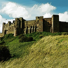 le roi du château