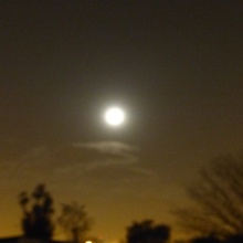 Moon