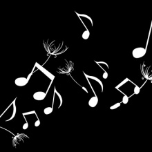 MusicBox_222