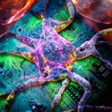 Dark Virus