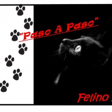 F.M - Prometo No Hacerte Llorar (Preview)