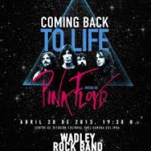 Coming Back to Life