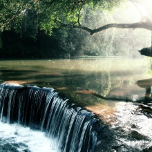 The Forest Of Wonders
