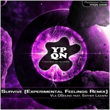 YPQN040B Vla DSound feat Esther Lazaro - Survive (Experimental Feelin)