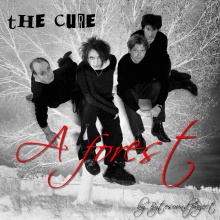 A forest (cover by Bytesound project)
